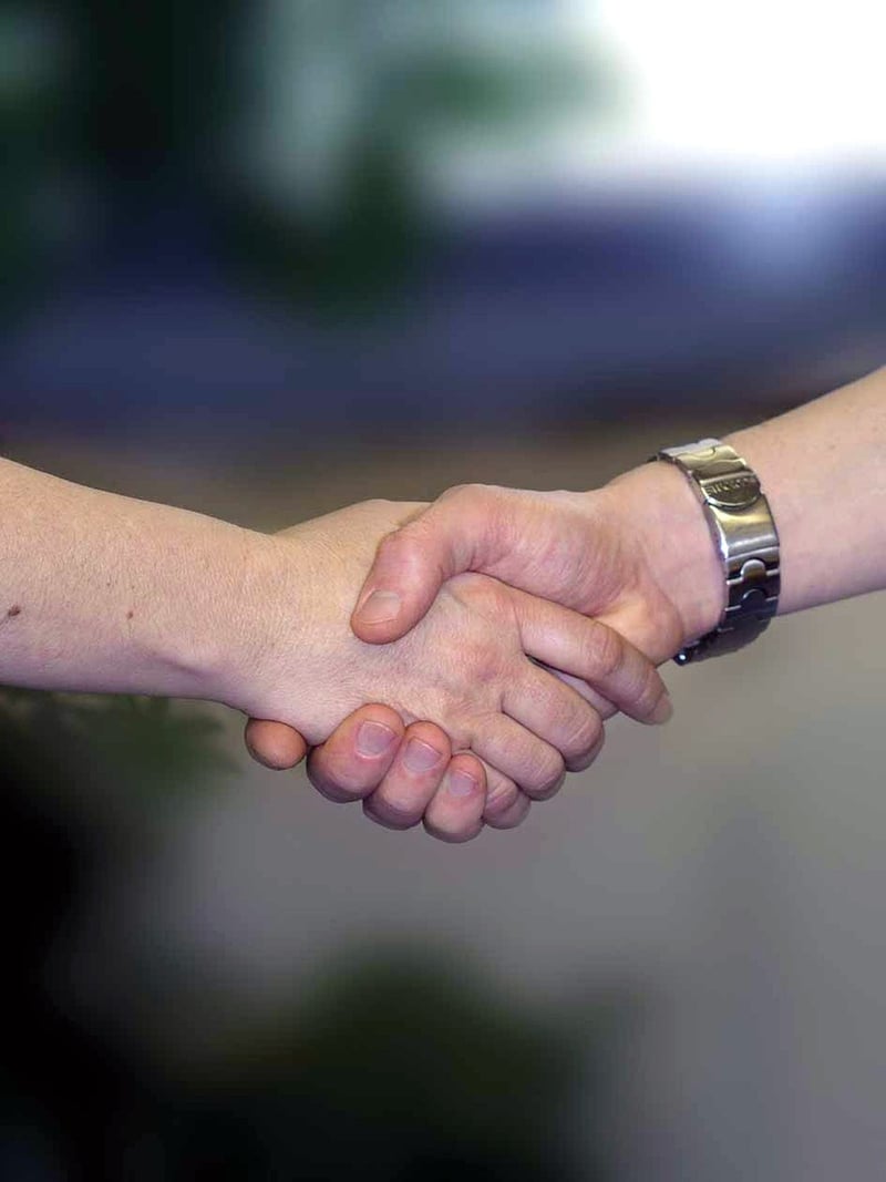 Mentorship Image